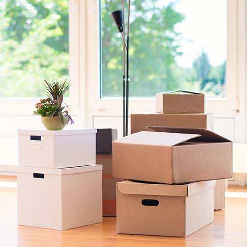 Many cardboard boxes in big bright house during relocation